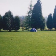 Gallery 10