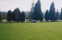 Gallery 10