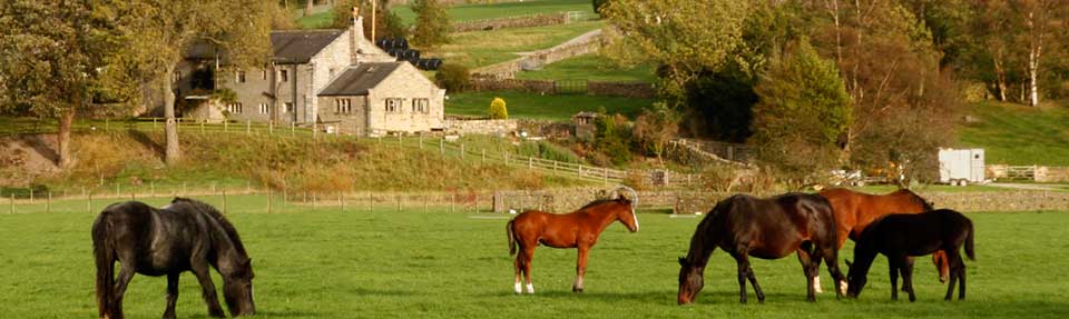 About Manor House Farm